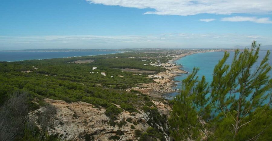 From Ibiza: Ferry and Guided Bus Excursion in Formentera - A full day from Ibiza to Formentera