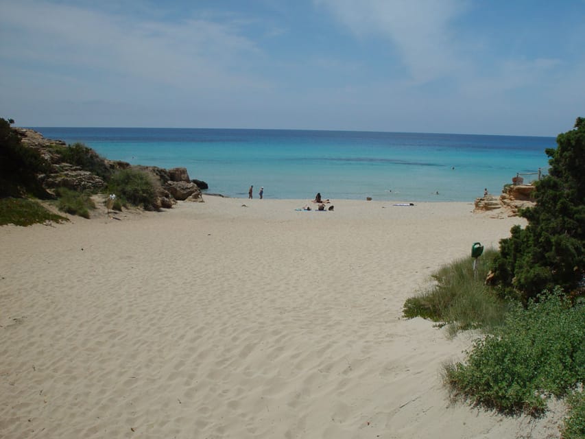 From Ibiza: Ferry and Guided Bus Excursion in Formentera - Las Salinas, where salt shapes the scenery