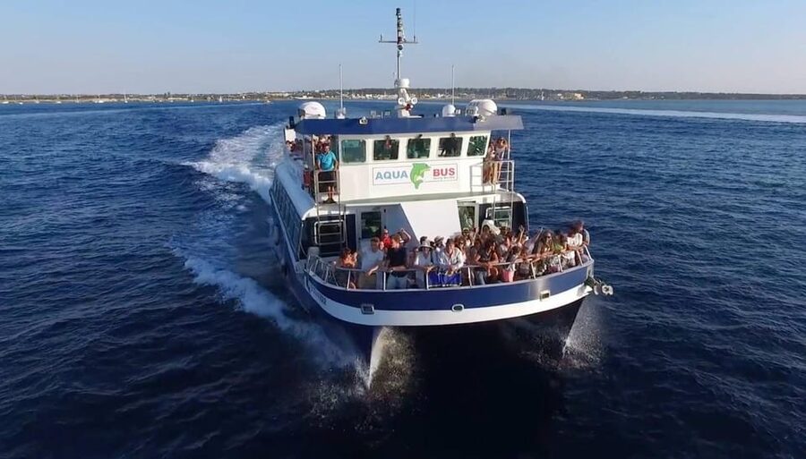 From Ibiza: Same-Day 2-Way Ferry Ticket to Formentera - Price and what you receive for about $40