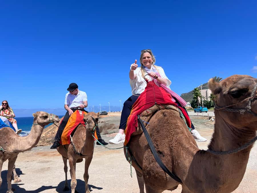 From Malaga: Tangier Day Trip with Ferry, Camel & Souks - Climbing into the Kasbah