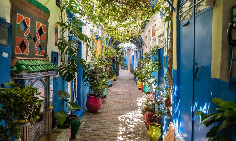 From Malaga: Tangier Private Day Trip with Ferry Tickets - Who will enjoy this Tangier trip most