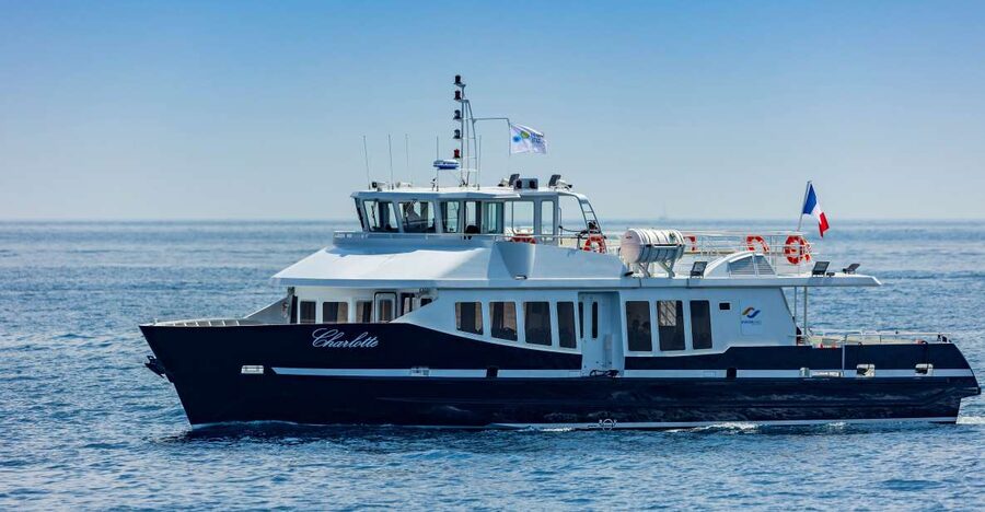 From Mandelieu: Roundtrip Boat Transfer to St. Tropez - The Annonciade Museum for an art-focused stop