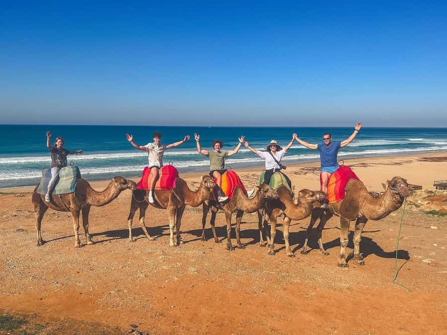 From Marbella: Tangier Day Trip with Ferry, Camel & Souks - The medina, souks, and everyday Tangier