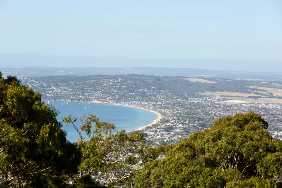 From Melbourne: Bay Sightseeing and Ferry Ride with Lunch - Queenscliff to Sorrento by ferry