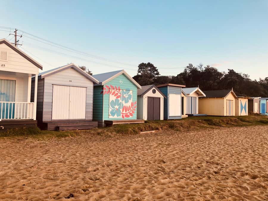 From Melbourne: Bay Sightseeing and Ferry Ride with Lunch - Rocky Creek Strawberry Farm from November to April
