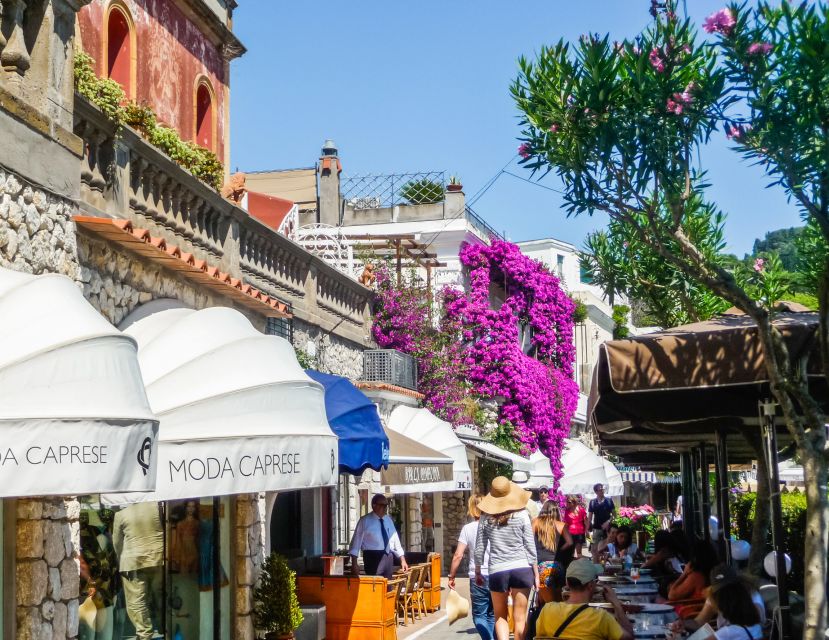 From Naples: Capri Guided Tour with Ferry Tickets & Minibus - Who will get the most from this experience