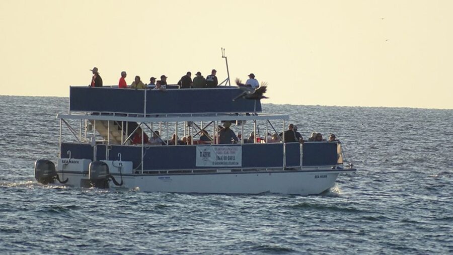 From Panama City, FL: Shell Island Ferry - What $28 buys you