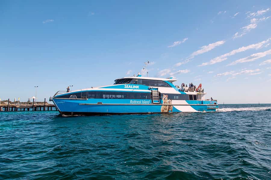 From Perth or Fremantle: Rottnest Island Ferry and Bus Tour - Making the most of your free time