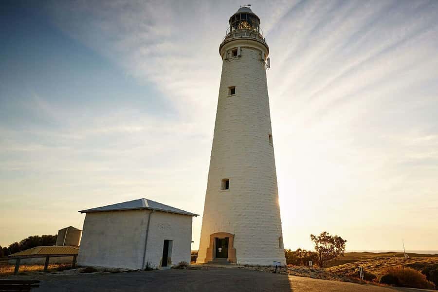 From Perth or Fremantle: Rottnest Island Ferry and Bus Tour - Is the $99 price good value?