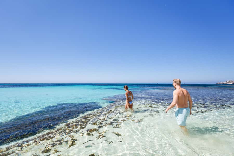 From Perth: Rottnest Island Ferry & Bus Day Tour - Why this Perth to Rottnest trip works well