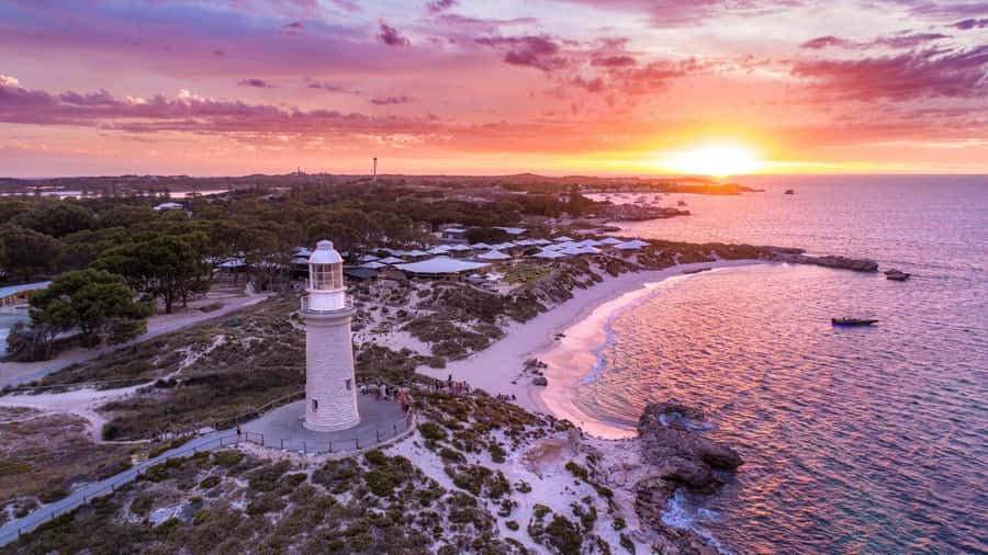 From Perth: Rottnest Island Ferry & Bus Day Tour - Getting oriented at Thomson Bay