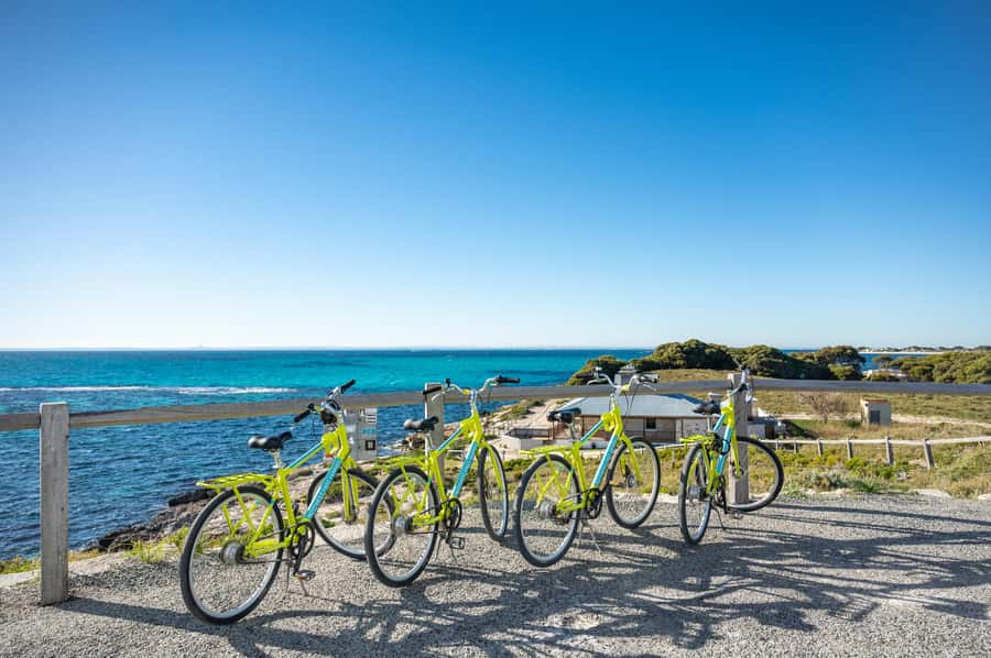From Perth: Rottnest Island Full-Day Bike and Ferry Trip - Is $84 Good Value?