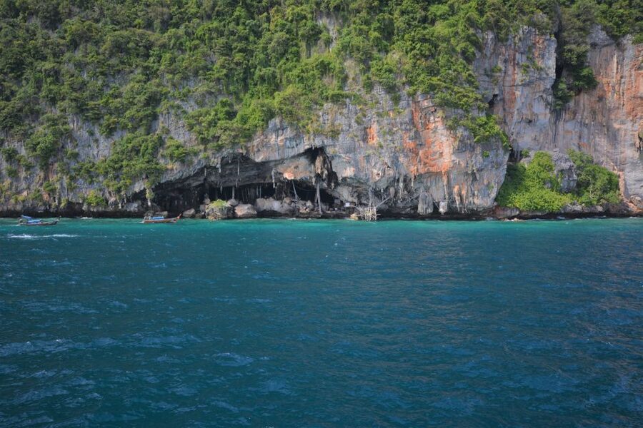 From Phuket: Snorkeling Ferry Cruise to Phi Phi Islands - Key points to know before you book