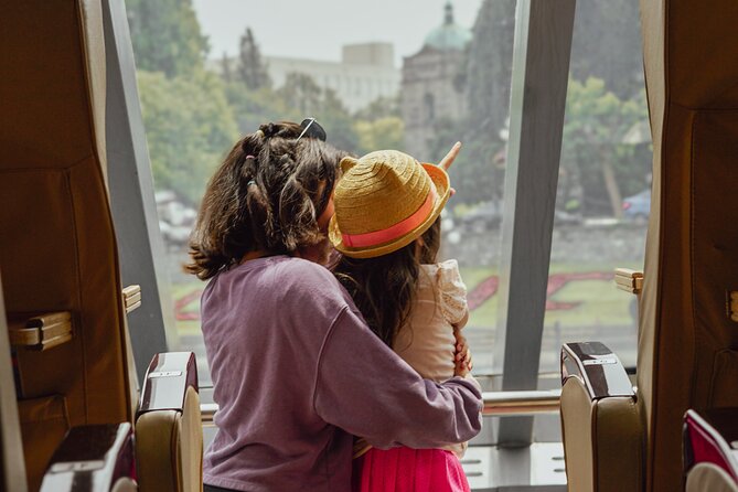 From Seattle: Round Trip by High Speed Ferry to Victoria, BC - Service, accessibility, and the return trip