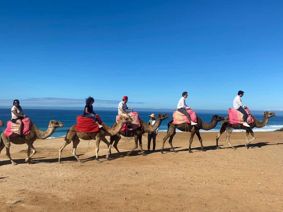 From Seville: 2, 3, or 4-Day Morocco Trip with Ferry & Guide - What a riad stay adds to the trip