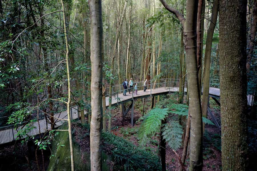 From Sydney: Blue Mountains, Scenic World, Zoo, & Ferry Ride - Why this Blue Mountains day trip works