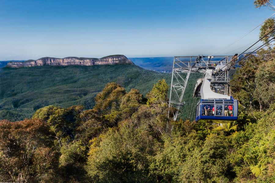 From Sydney: Blue Mountains, Scenic World, Zoo, & Ferry Ride - The Parramatta River ferry to Circular Quay
