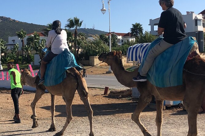 Full day Tangier Tour from Cruise or ferry from tarifa - The Big Mosque, synagogue, and Tangier’s mixed traditions