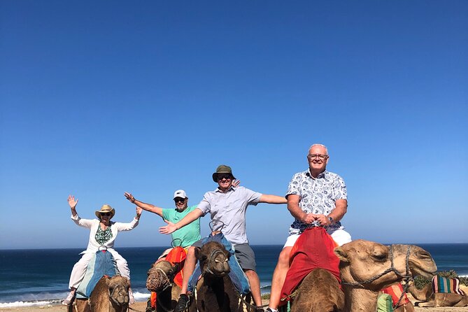 Full day Tangier Tour from Cruise or ferry from tarifa - Two hours in the Medina