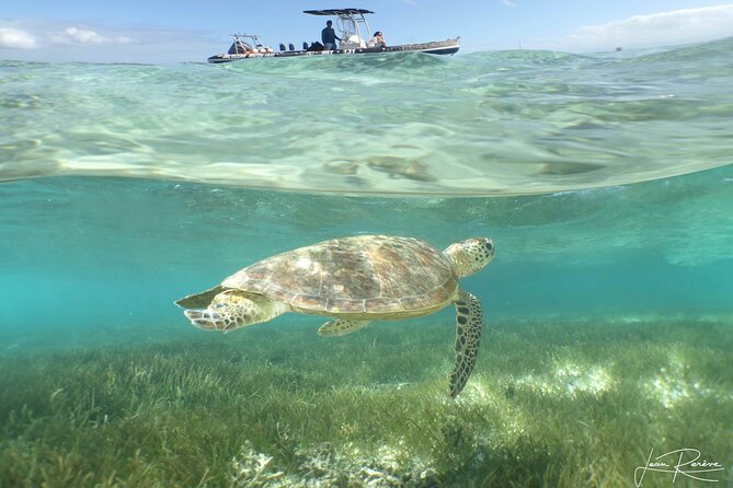 Full Day Water Taxi to Amedee Island from Noumea - Five hours of white sand and clear water