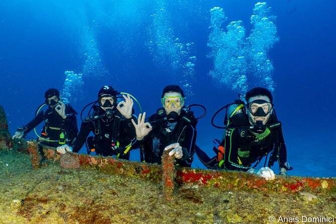 FunDiving in Cozumel - By Ferry - 2 Tanks in the wonderful Caribbean sea - Why Cozumel is worth the crossing