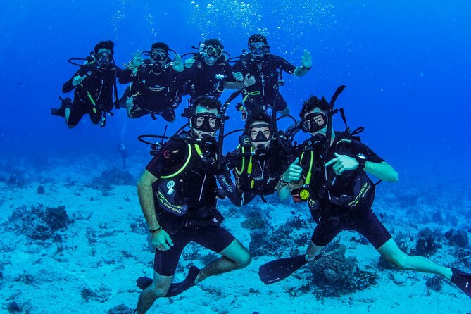 FunDiving in Cozumel - By Ferry - 2 Tanks in the wonderful Caribbean sea - Equipment, extra charges, and real value