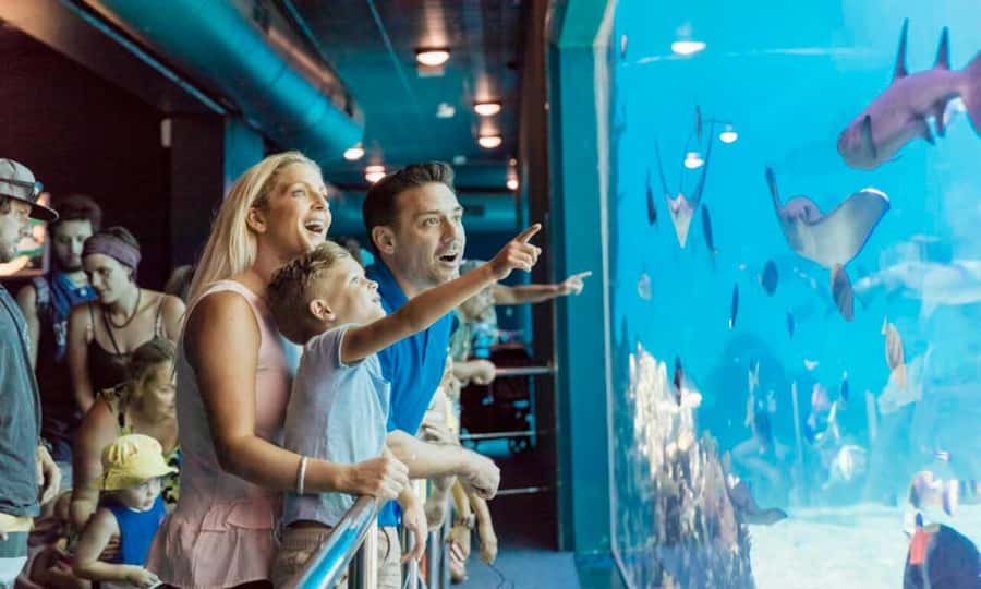 Gold Coast: Sea World Cruise & Entry Combo Ticket - Key points at a glance
