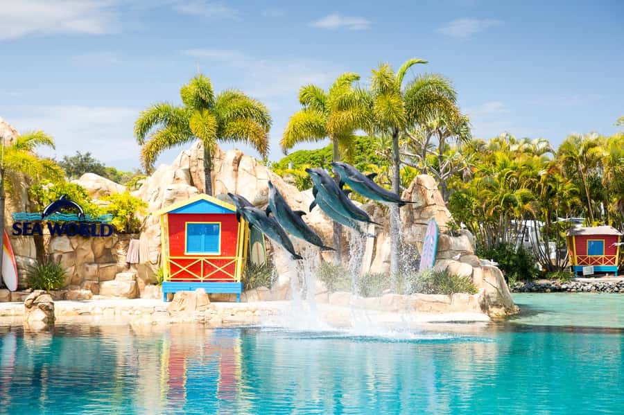 Gold Coast: Sea World Cruise & Entry Combo Ticket - A realistic day-by-day plan
