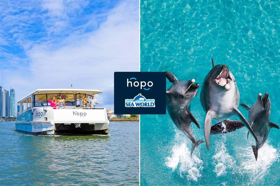 Gold Coast: Sea World Cruise & Entry Combo Ticket - The 50-minute route from Surfers Paradise