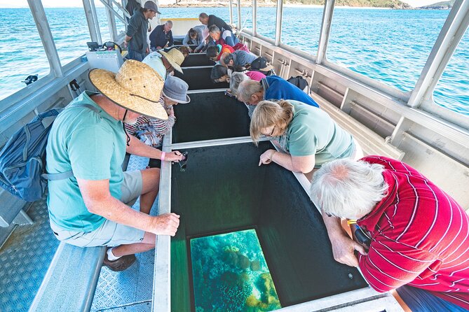 Great Keppel Island Glass Bottom Boat Tour & Ferry Transfer - Key points at a glance