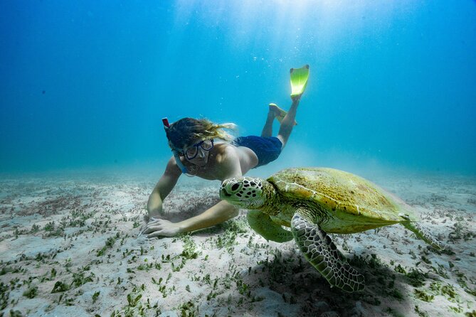 Great Keppel Island Glass Bottom Boat Tour & Ferry Transfer - Why the glass bottom boat is the star