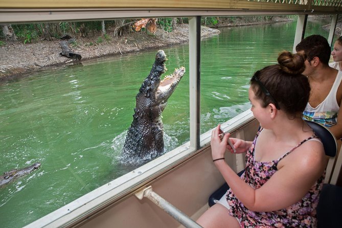 Great Keppel Island Glass Bottom Boat Tour & Ferry Transfer - What the $66.44 price includes in value