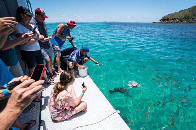 Great Keppel Island Glass Bottom Boat Tour & Ferry Transfer - One hour above the reef