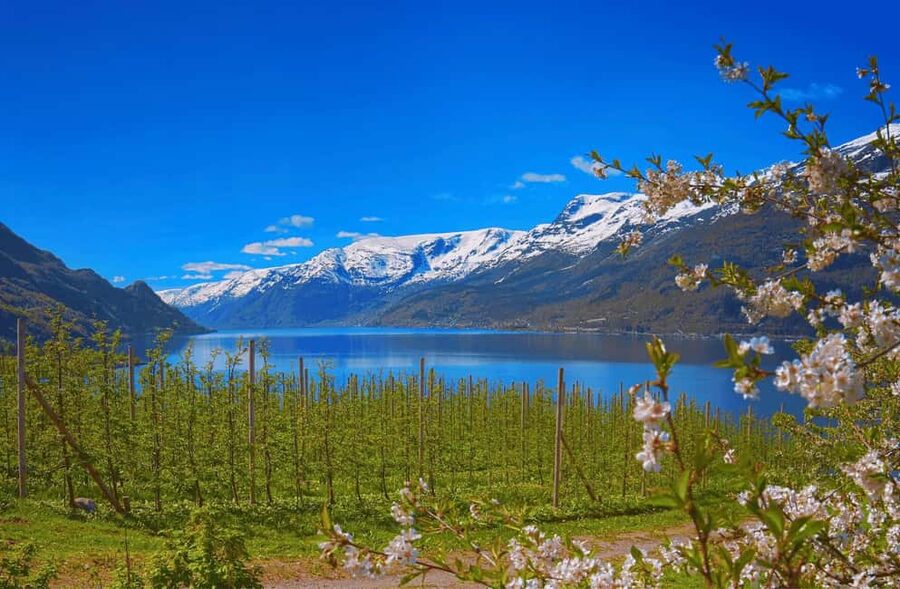 Guided tour: Hardangerfjord, Waterfalls and Ferry crossing - Trengereid gives you the first wide view