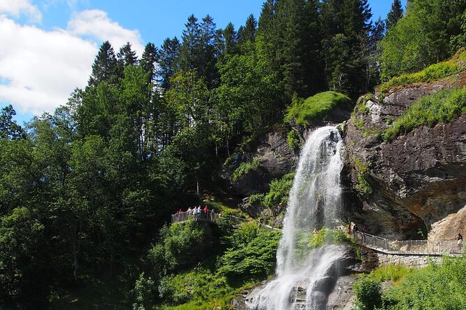 Guided tour to Hardanger Fjord, Waterfalls and Ferry Crossing - Road 550 follows orchards and the fjord