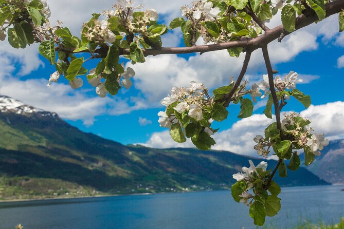 Guided tour to Hardanger Fjord, Waterfalls and Ferry Crossing - Herand is a useful small-marina pause