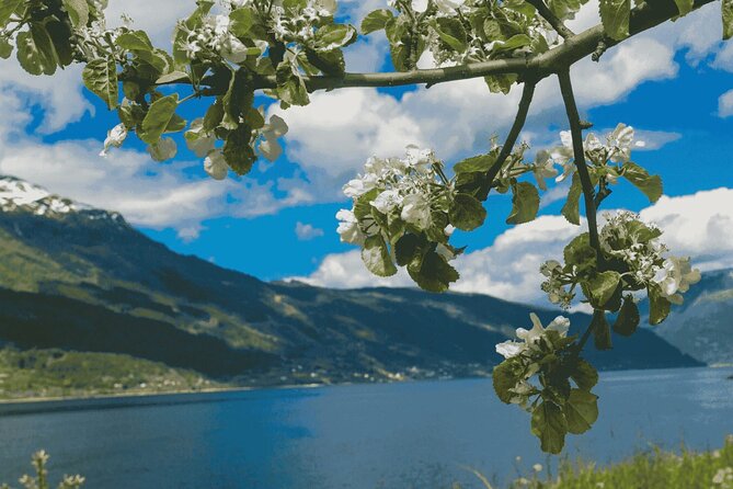 Guided tour to Hardangerfjord with Waterfalls and Ferry Crossing - Norheimsund supplies lunch and a useful pause