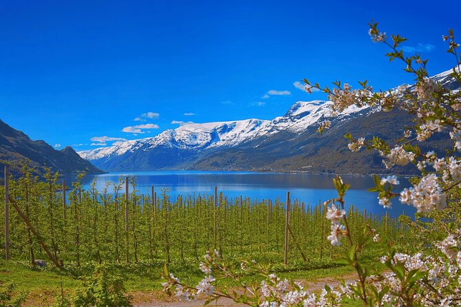 Guided tour to Hardangerfjord with Waterfalls and Ferry Crossing - Trengereid gives you the first fjord view