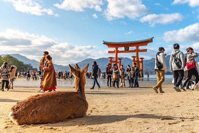 Hiroshima and Miyajima Day Trip with Itsukushima Shrine & Ferry - Key points to know before you book