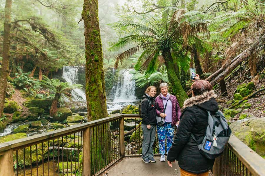 Hobart: Mt Wellington, Mt Field, Bonorong and Richmond Trip - Is $126 good value?