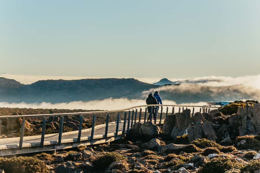 Hobart: Mt Wellington, Mt Field, Bonorong and Richmond Trip - Why this Hobart day trip works so well