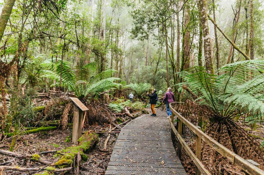 Hobart: Mt Wellington, Mt Field, Bonorong and Richmond Trip - The guide can make the road time count