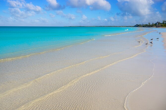 Holbox Tour with Ferry transportation and lunch included - Lunch with regional dishes