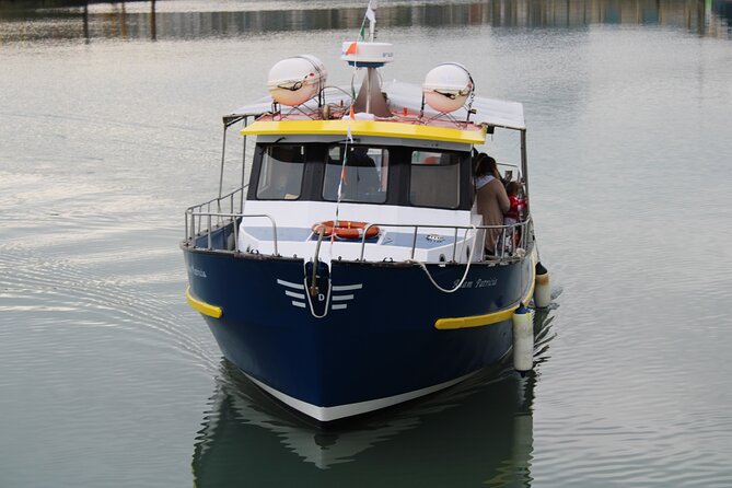 Howth Cliffs and Ireland's Eye Ferry Boat Tour - Why see Howth’s cliffs from the water?