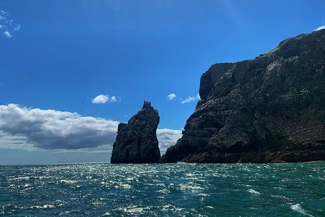 Howth Cliffs and Ireland's Eye Ferry Boat Tour - Commentary, crew, and the small-boat feel