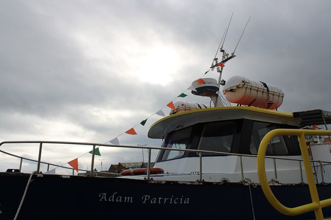 Howth Cliffs and Ireland's Eye Ferry Boat Tour - Weather changes the whole outing