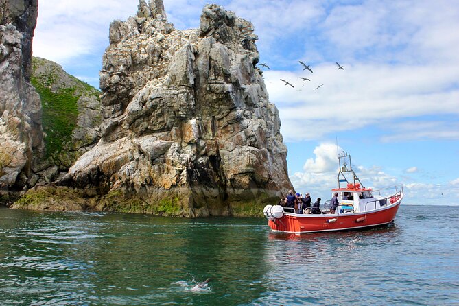 Howth Coastal Boat Tour (Ireland's Eye Ferries 50 mins trip) - Key points at a glance