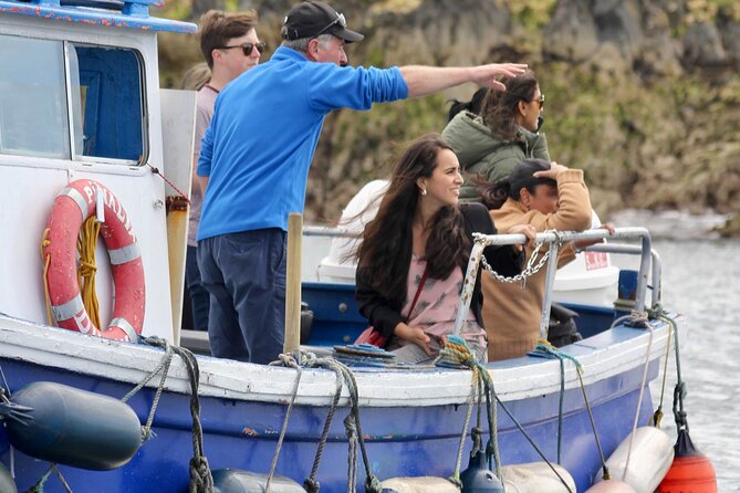 Howth Coastal Boat Tour (Ireland's Eye Ferries 50 mins trip) - Why Ireland’s Eye makes this boat trip worth your time