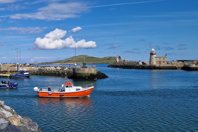 Howth Coastal Boat Tour (Ireland's Eye Ferries 50 mins trip) - Ireland’s Eye, cliffs, and seabirds