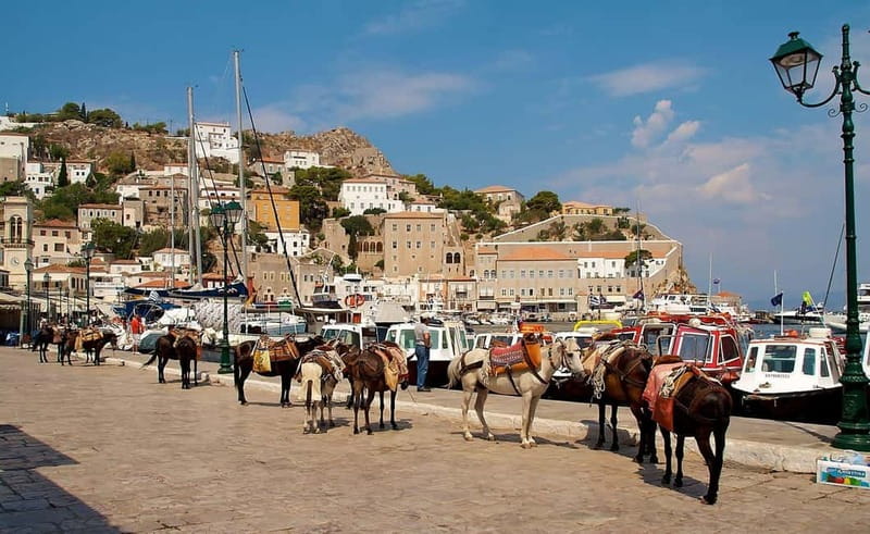 Hydra Island Trip from Athens with Ferry Tickets Included - Architecture, museums, and the island’s past